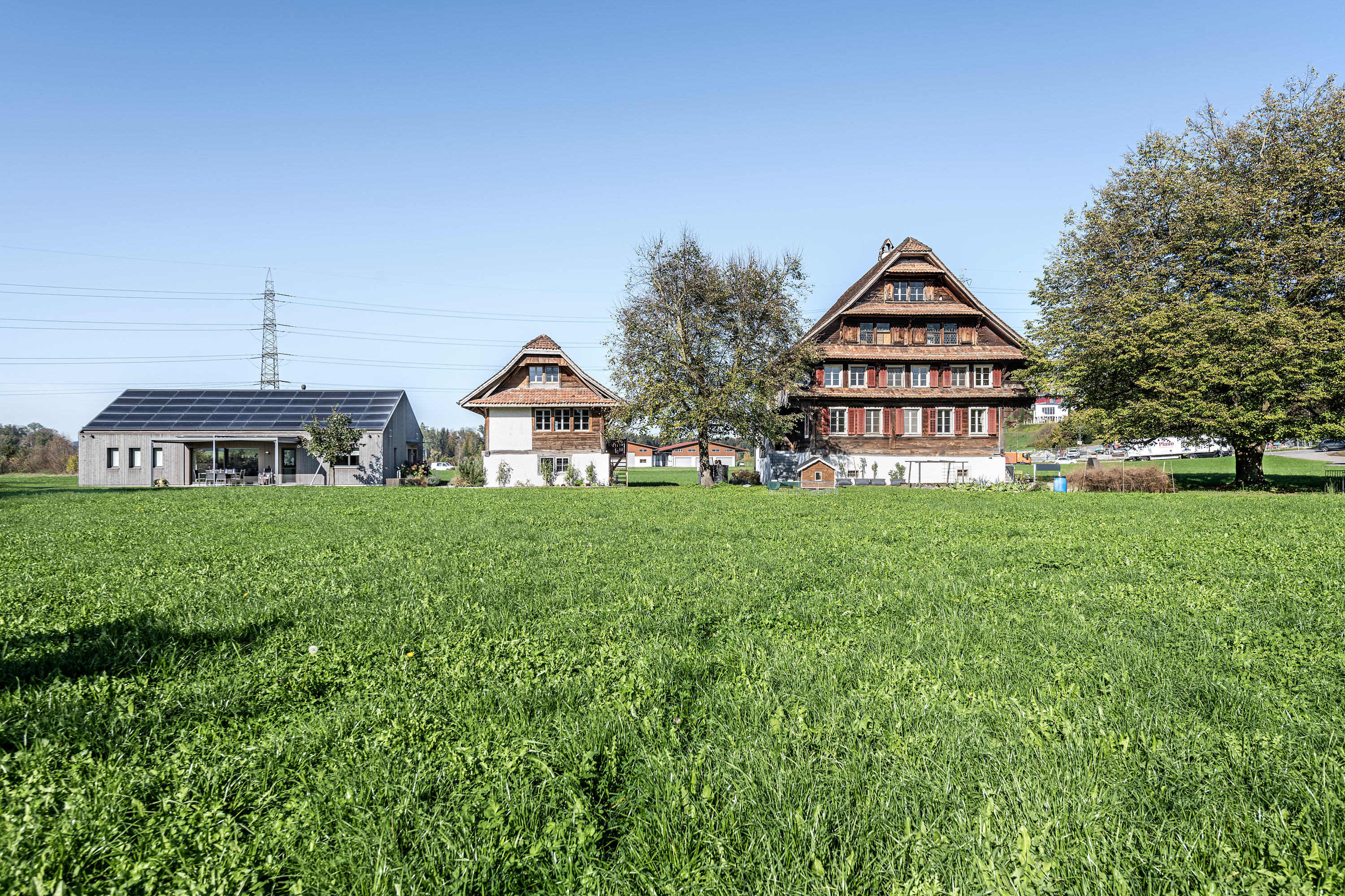 Gesamtansicht der Hofgruppe von Süden mit Baum in der Mitte und rechts