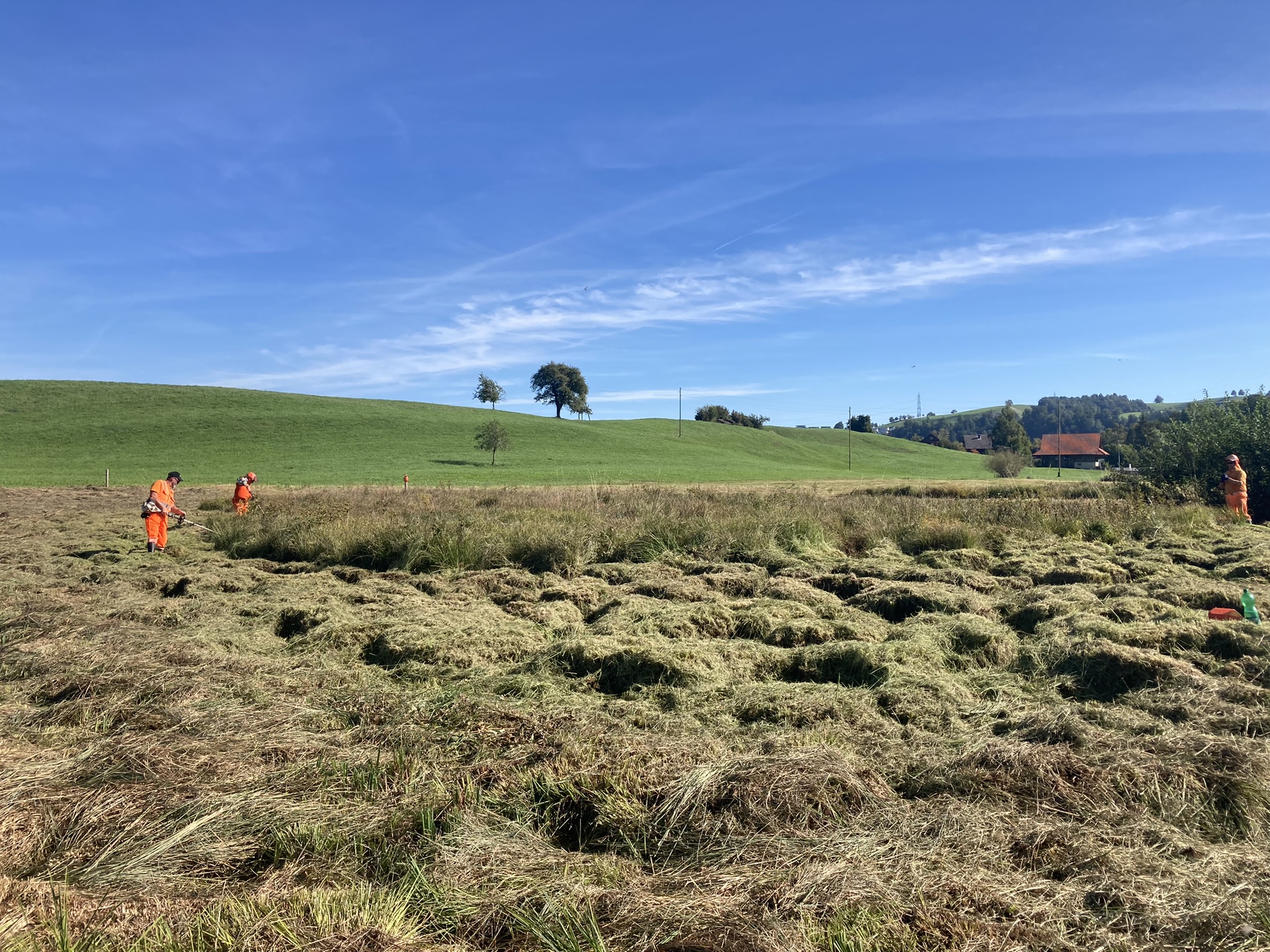 Pflege von Naturschutzgebieten